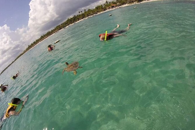 Akumal turtles sanctuary and go pro photos - The guides make the difference