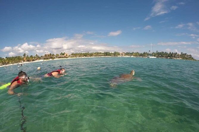 Akumal turtles sanctuary and go pro photos - Why the included GoPro photos add real value