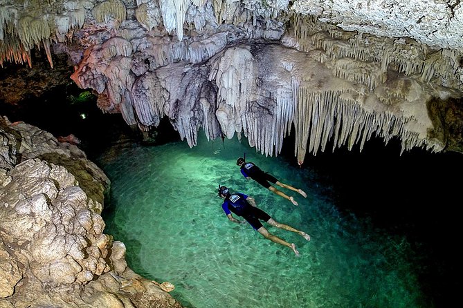 Akumal Turtles, Snorkel Tour from Cancun or Riviera Maya - Price, extra fees, and what you receive