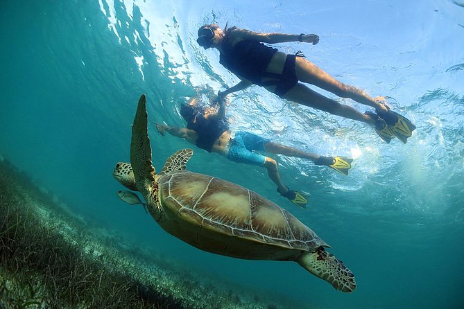 Akumal Turtles, Snorkel Tour from Cancun or Riviera Maya - Food, towels, and the small items that matter