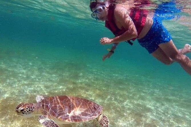 Akumal Turtles Snorkeling and GoPro pictures - Who Will Enjoy This Experience Most
