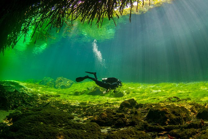 Amazing beginner dive in Tulum cenote (or refresher dive) - Why Casa Cenote is a fine first underwater experience