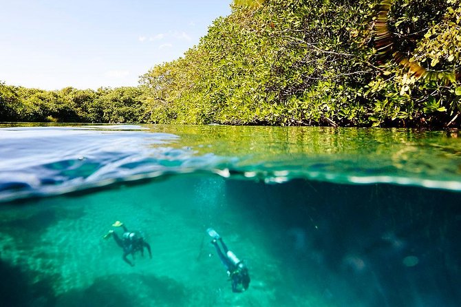 Amazing beginner dive in Tulum cenote (or refresher dive) - The 15-minute ride to Casa Cenote