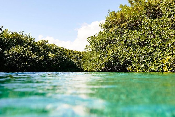 Amazing beginner dive in Tulum cenote (or refresher dive) - What the $140 price really covers