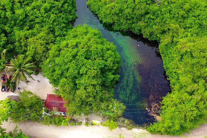 Amazing beginner dive in Tulum cenote (or refresher dive) - Who will get the most from this outing