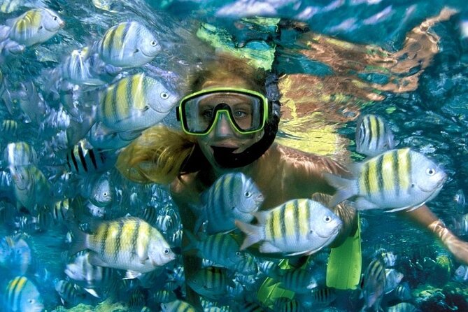 Aquatic Paradise in Tulum: Snorkel Yalku, Swim Cenote & Kaan Luum - Three water stops, three different moods