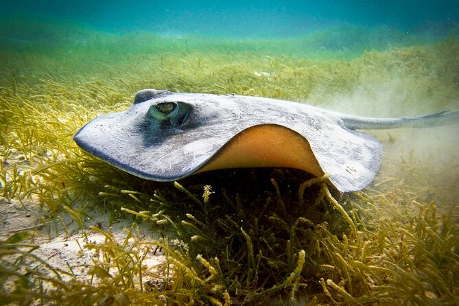 Aquatic Paradise in Tulum: Snorkel Yalku, Swim Cenote & Kaan Luum - Cenotes Labnaha and Eco Park, a freshwater change