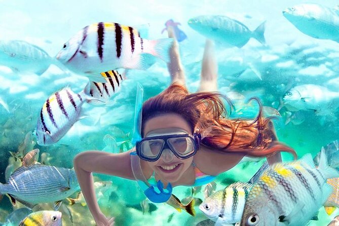Aquatic Paradise in Tulum: Snorkel Yalku, Swim Cenote & Kaan Luum - Yal-ku Park, your first look below the surface