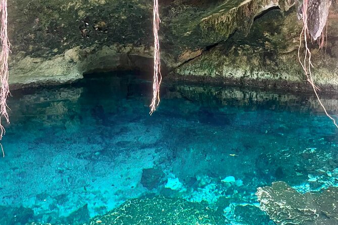 ATV cenote tour Tulum – Mayan Jungle ATV & Cavern Experience - Riding the marked Mayan jungle trails