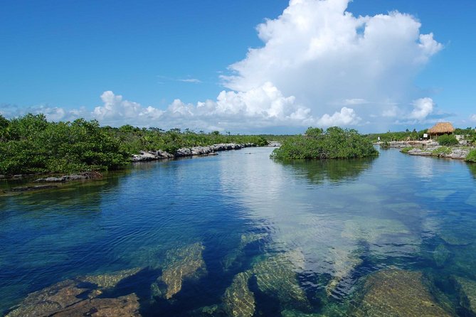 ATV Extreme and Snorkel Adventure from the Riviera Maya - ATV riding through the Mayan jungle