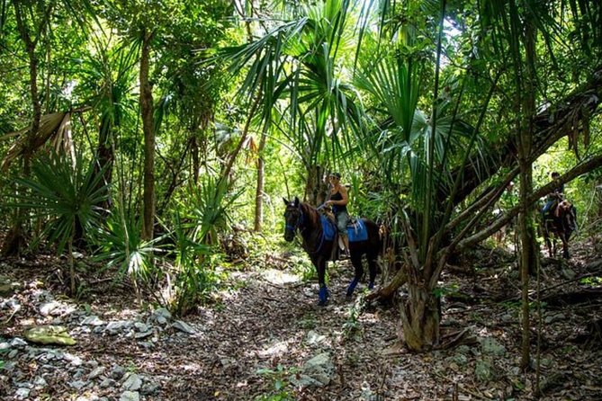 Award-winning Classic Horseback Ride (max. 6 riders) - Who will enjoy Rancho Baaxal most