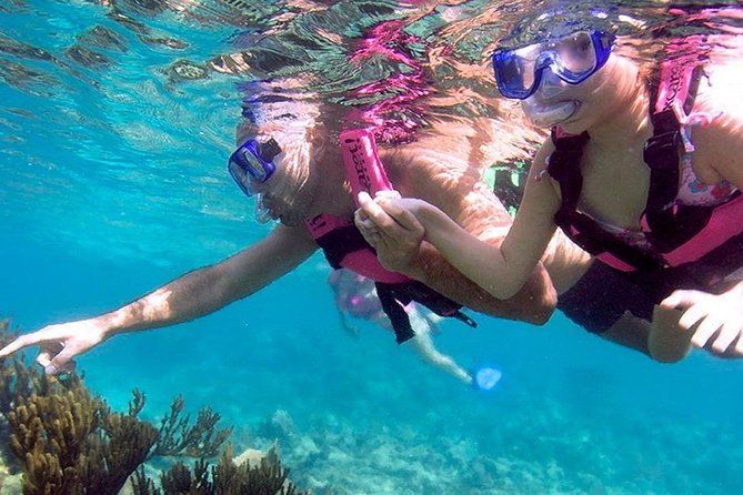 Awesome Tour Day at Xcaret Plus + Transportation from Riviera Maya - What to do first once you arrive