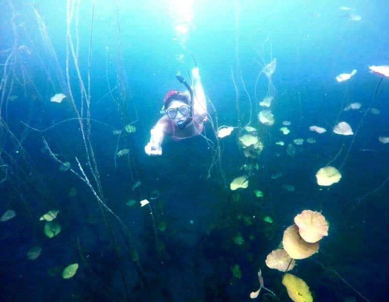Bacalar: Magnificent Bacalar Lagoon Exclusive Boat Tour - Why Bacalar Lagoon looks like seven colors
