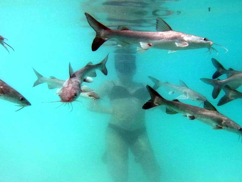 Bacalar: Magnificent Bacalar Lagoon Exclusive Boat Tour - Islands, birds, and quiet water