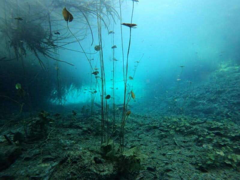 Bacalar: Magnificent Bacalar Lagoon Exclusive Boat Tour - Swimming and snorkeling at three stops