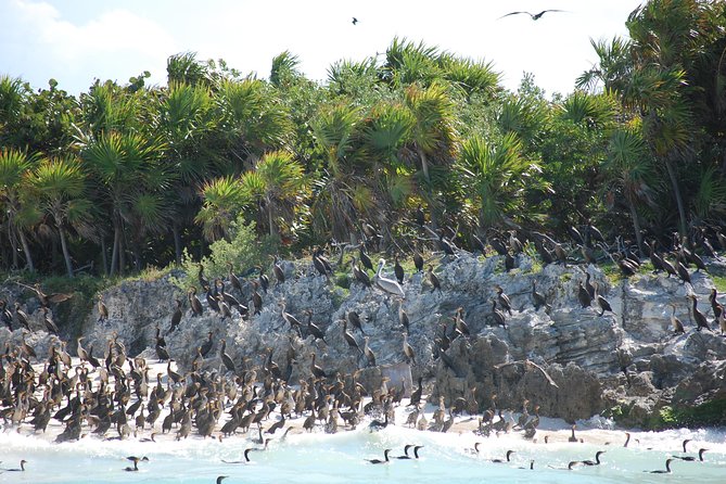 Beach Escape: Isla Contoy and Isla Mujeres with Snorkeling. - Three hours on Isla Contoy reward a slower pace