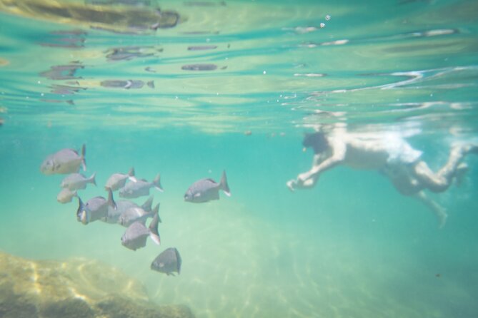 Best in Class: Private Snorkeling Xpedition - Who should book this private expedition?