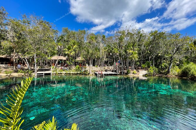 Bestseller! Tulum Private Tour with Turtles and Cenote Snorkeling - What the private van and guide add