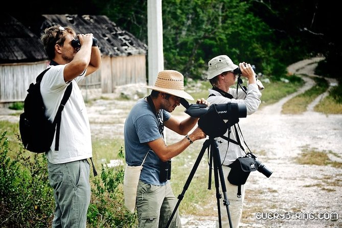 Bird Watching in Sian Ka´an Muyil - Who will get the most from this tour