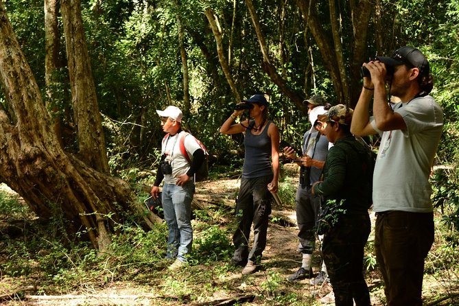Birdwatching in Coba from Tulum - Shared Group Tour - Is $149 a fair price?