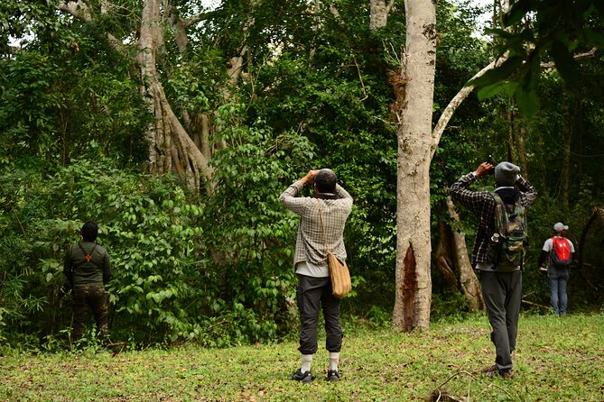 Birdwatching in Coba from Tulum - Shared Group Tour - Coffee, fruit, and a quick briefing