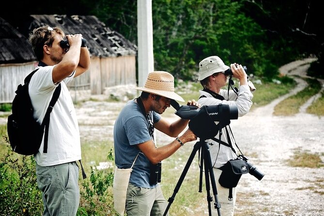 Birdwatching in Sian Ka´an Muyil from Tulum - Shared Group Tour - The 6 a.m. start and meeting point