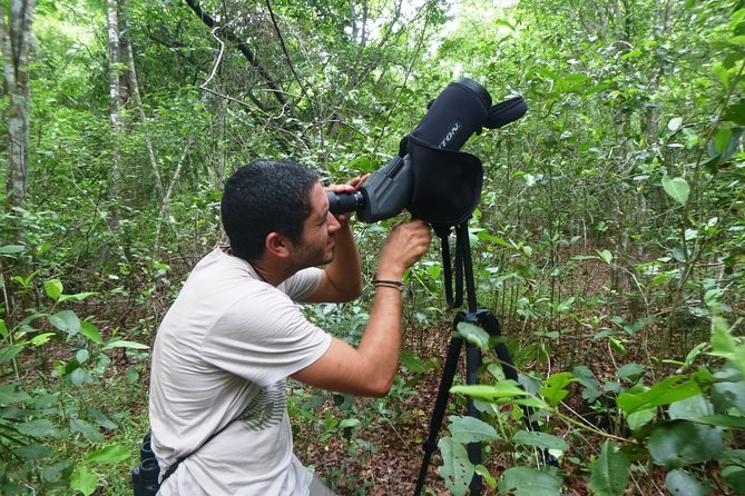 Birdwatching in Sian Ka´an Muyil from Tulum - Shared Group Tour - The optional lagoon boat and mangrove float