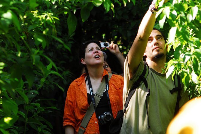 Birdwatching in Sian Ka´an Muyil from Tulum - Shared Group Tour - Who will get the most from this morning