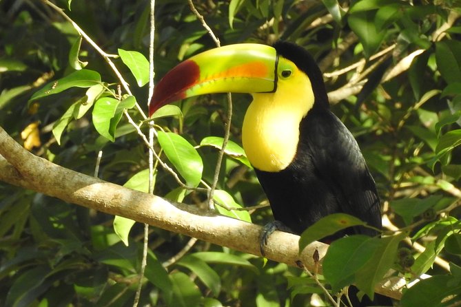 Birdwatching Sian Ka'an Biosphere Reserve - The early trip south from Tulum