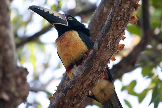 Birdwatching Sian Ka'an Biosphere Reserve - Breakfast and the social side of the morning