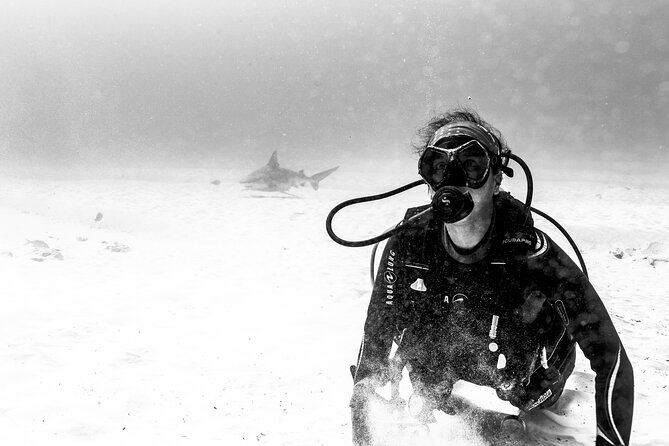 Bull Shark Dive in Playa del Carmen – Dive Machine Experience - Inclusion that goes beyond standard equipment