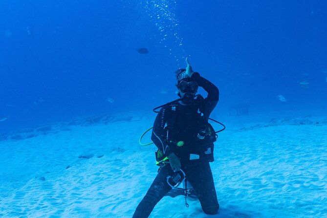 Bull Shark Dive in Playa del Carmen – Dive Machine Experience - Who should book this experience