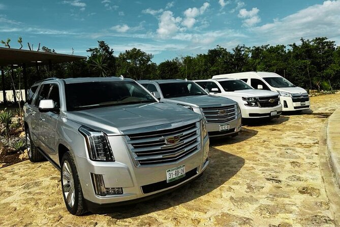Cancun Airport: Private Transfers From/To Akumal Half Moon Bay - Who should book this transfer?