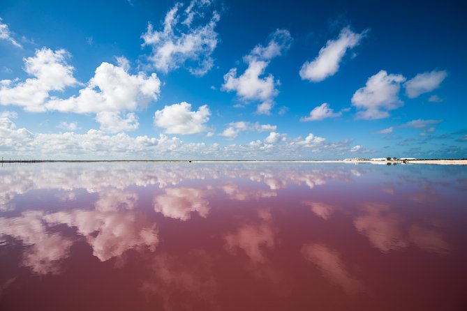 Cancun tour Las Coloradas Pink Lagoon + Rio Lagartos Tour - The boat, mud, and crocodile stop