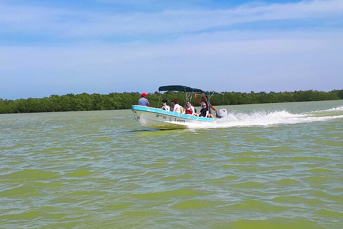Cancun tour Las Coloradas Pink Lagoon + Rio Lagartos Tour - Ría Lagartos brings a wilder side of Yucatán