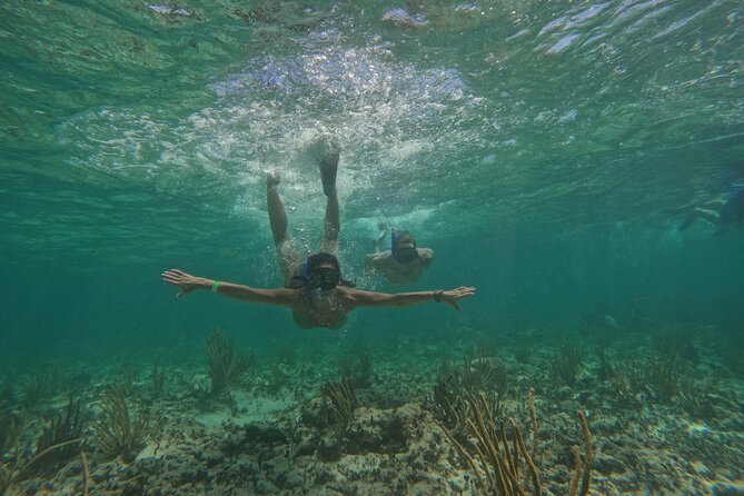Catamaran Cruise in Riviera Maya With Snorkeling & Beach Club - What happens at the Maroma Beach Club
