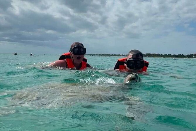 Cenote and Swimming with Turtles Private Tour in Akumal - Two water worlds between Playa del Carmen and Akumal