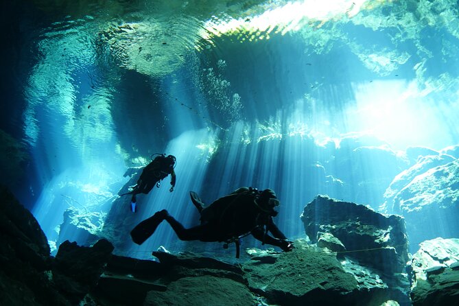 Cenote Diving - 2 Tank Dive Trip for Certified Divers - Meeting at 8 a.m. in Playa del Carmen