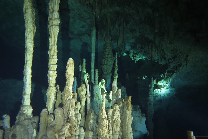 Cenote diving Dream Gate - Key points to know before booking