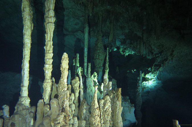 Cenote diving Dream Gate - What you will see beneath the surface