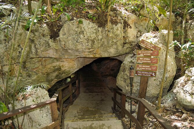 Cenote Expedition: Discover 3 Secret Cenotes with Mayan ritual - What to Bring and How to Prepare
