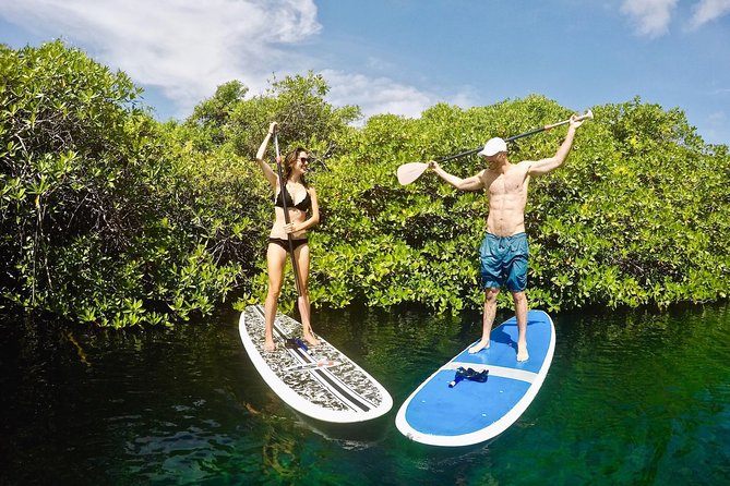 Cenote Paddleboarding and Snorkeling in Tulum - What makes the guide important