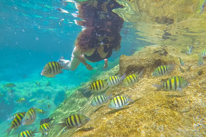 Cenote; Snorkeling and Photos with Colorful Fish - Your 90-minute swim through the lagoon