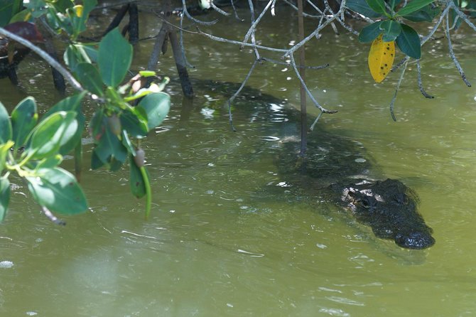 Cenote Suytun & Rio Lagartos & Las Coloradas - Pickup times and the practical side of the day