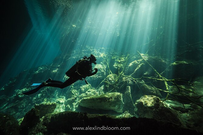 Cenotes 2-Day Scuba Diving Package in the Riviera Maya - Why the reef and cenote combination works