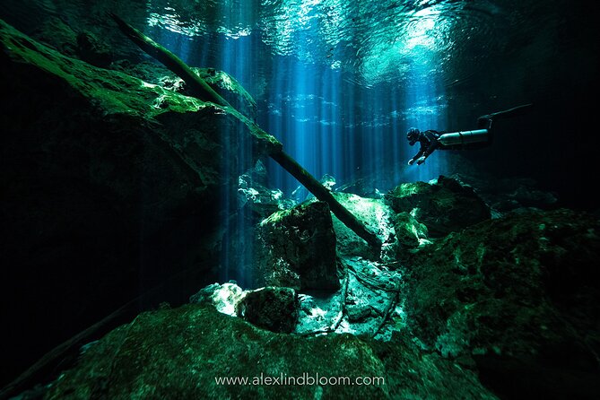Cenotes 2-Day Scuba Diving Package in the Riviera Maya - Day one: two reef outings near Playa del Carmen