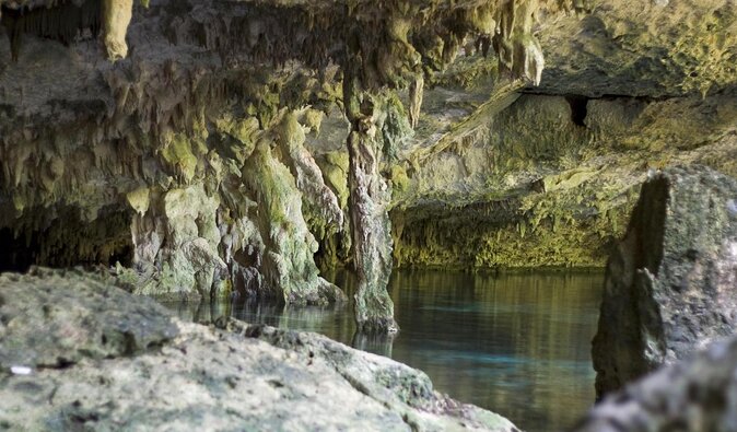 Cenotes 2-Tank Dive in Playa del Carmen/for certified divers only - Key points to know before booking