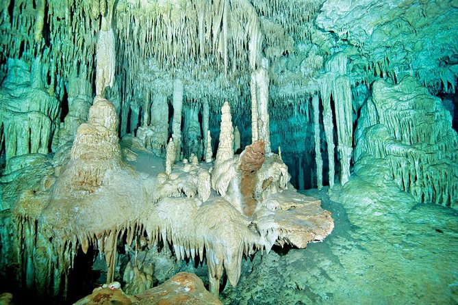 Cenotes 2-Tank Dive in Playa del Carmen/for certified divers only - What this cenote trip is really like