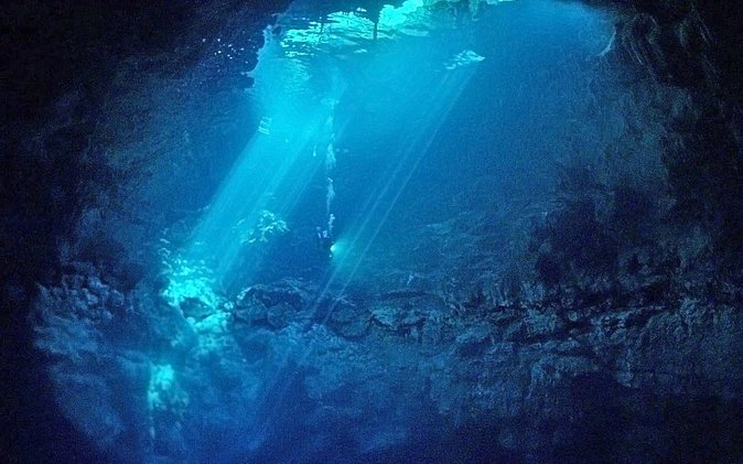 Cenotes 2-Tank Dive in Playa del Carmen/for certified divers only - Chikin Ha, Dos Ojos, and Jardin del Eden