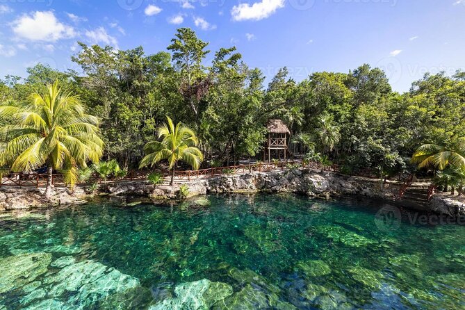 Cenotes Casa Tortuga: 4 Cenotes Day Pass - Key points to know before you go